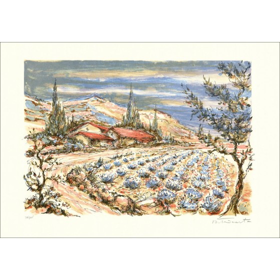 Het veld Lavendel - Originele ondertekende en genummerde lithografie door de kunstenaar - Budgetbereik, Kleine prijs, decoratie