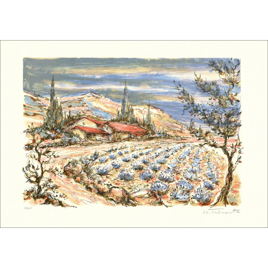The Lavender Field - Original Lithograph signed and numbered by the artist - Budget range, small prize, decoration