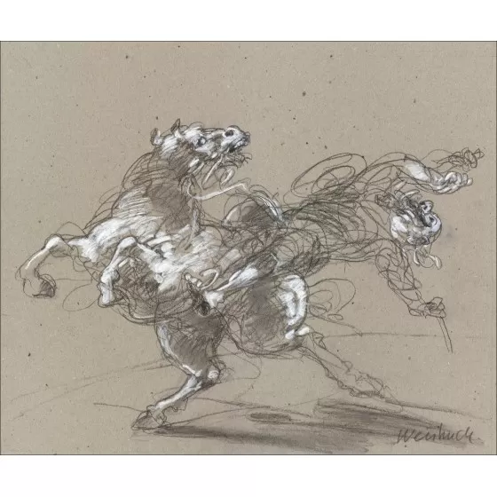 Claude WEISBUCH Don Quichotte, la chute Dessin original