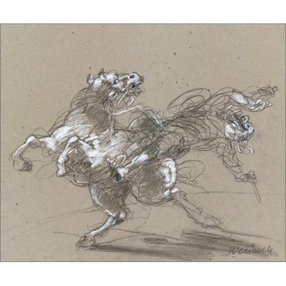 Claude Weisbuch Don Quijote, el dibujo original