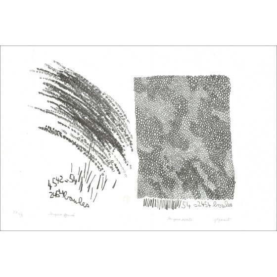 Jean-Luc-Alter - Original-Lithographie "Offene Augen, geschlossene Augen" 38x56cm - 2013
