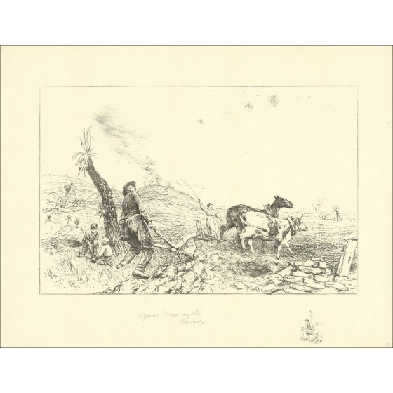 Kaufen Sie Lithographiefelder von freien Émile-Feldern