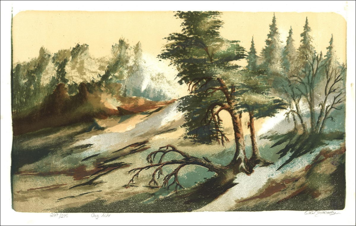 Fantastic Desert - Original lithograph numbered and signed in pencil by the artist - Budget Range, affordable, decorative.