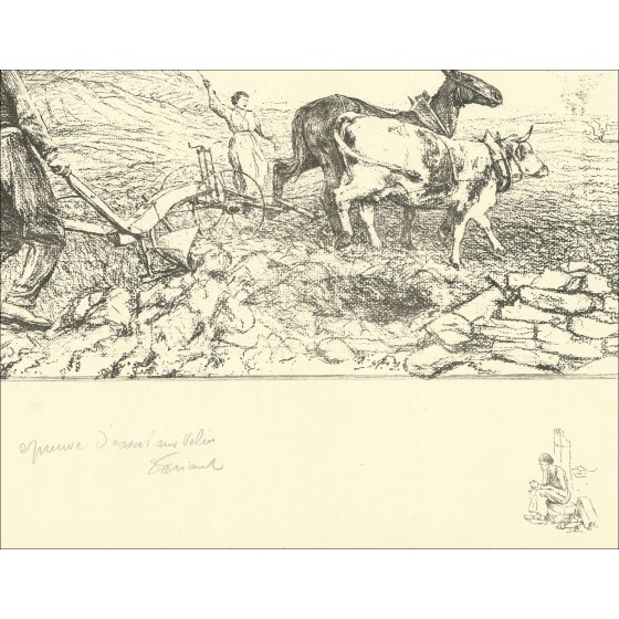 Comprar Campos de litografía de Freant Emile Fields