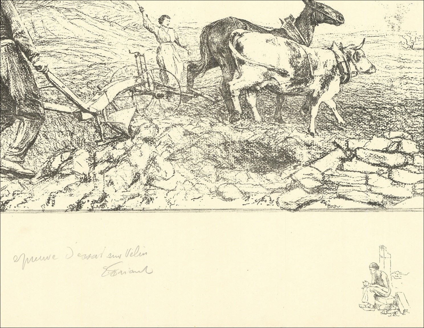 Comprar Campos de litografía de Freant Emile Fields