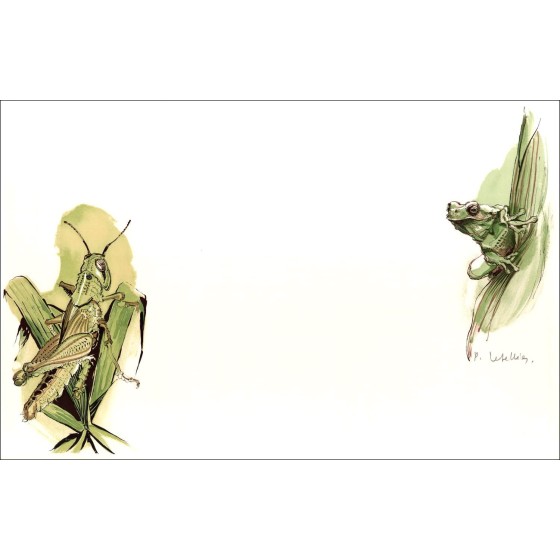 Pierre LETELLIER "La Cavalletta e la rana" Litografia originale su carta velina, firmata in matita dall'artista