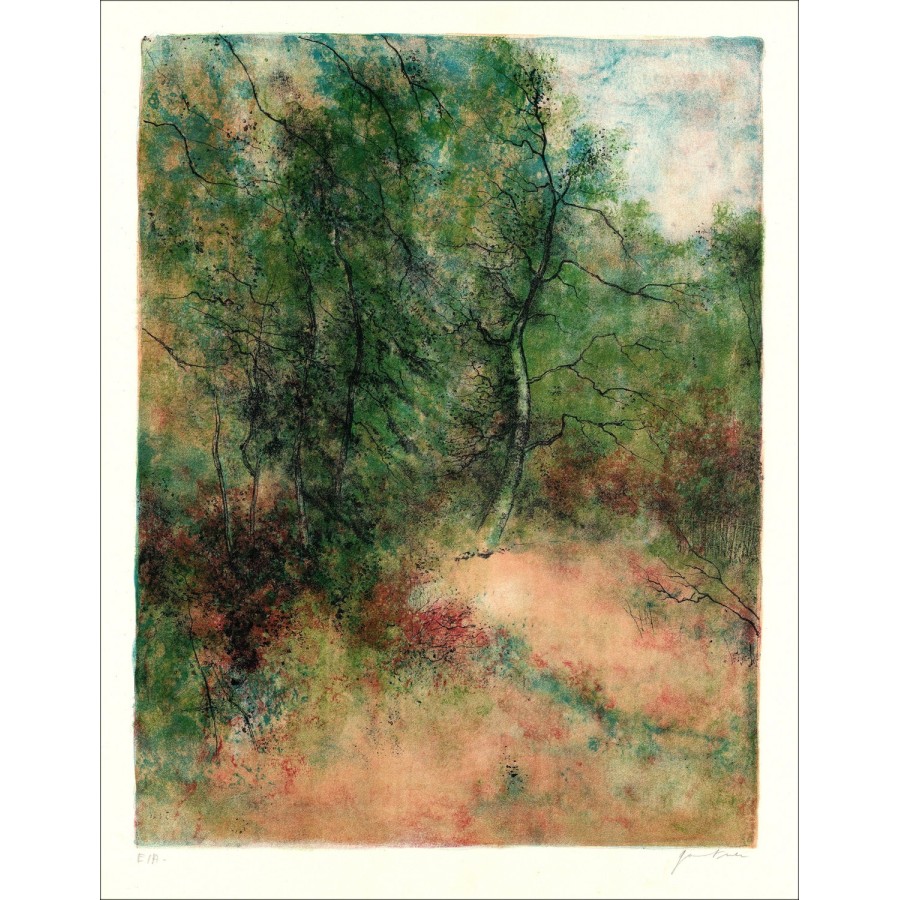 Kaufen Sie Bernard Gantner Forest Border Original Lithographie