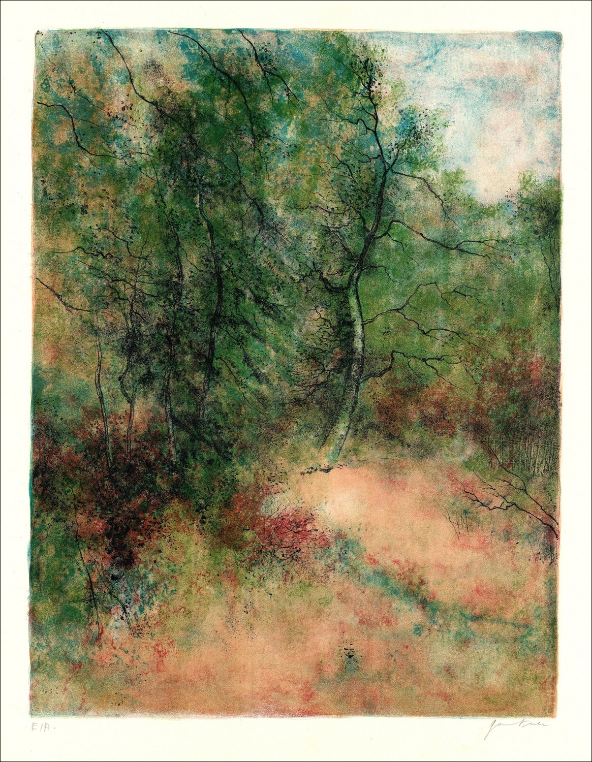 Koop Bernard Gantner Forest Border Original Litho