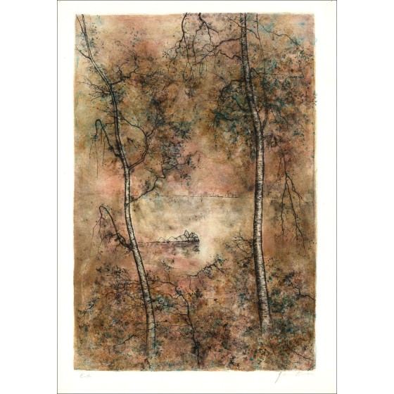 Koop Lake Bernard Gantner Original Litho