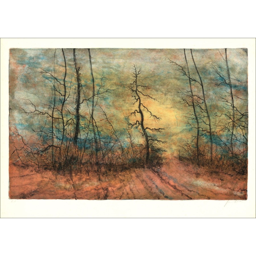 Buy The forest of Bernard GANTNER Original lithograph