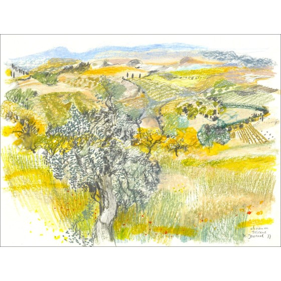 Comprar Oliviers en Toscana Dibujo por Monique Journod