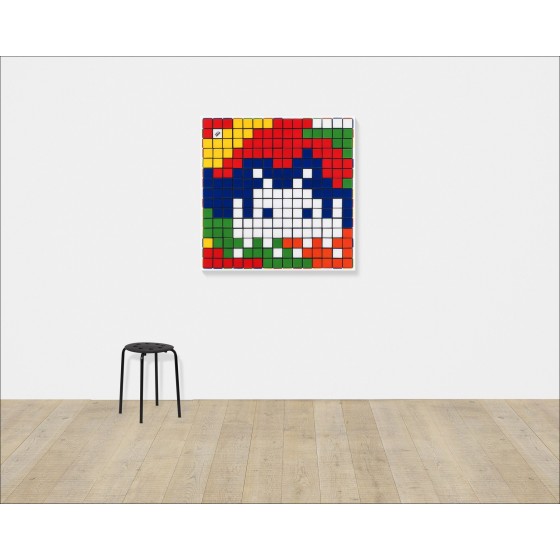 Rubik Camouflage NVDR1-2 por INVADER, 2023