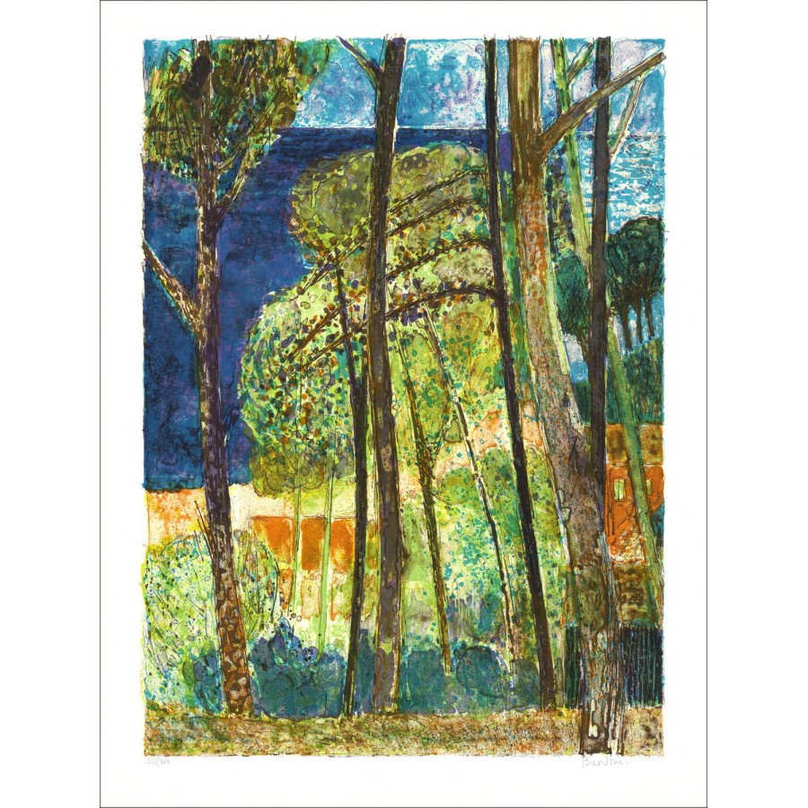 Lithographie Originale de BARDONE Guy : Envoûtante Forêt Provençale, 65x50 cm