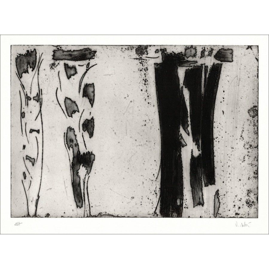 Originele Olivier Debre Litho - groot tekenkarakter