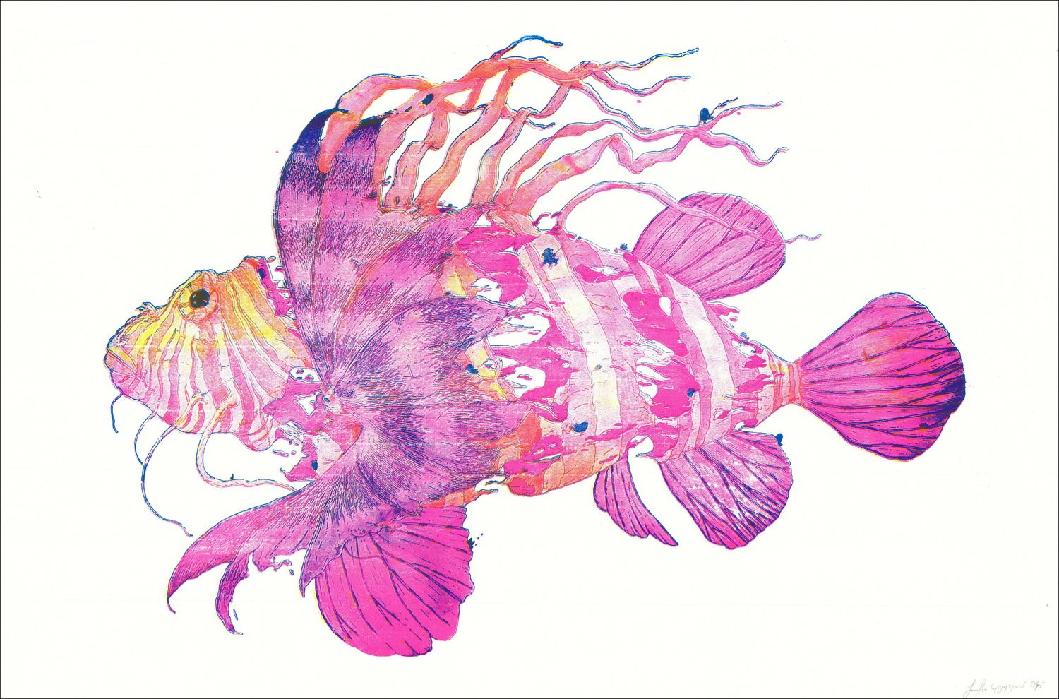 OH MAMIE - 'Lion Fish