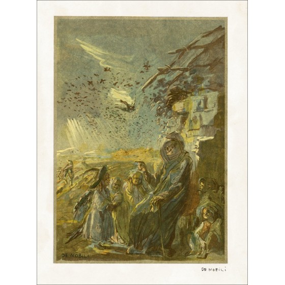 LILA DE NOBILI - Original-Lithographie "schlucken und kleine Vögel" 38x28cm - 1961