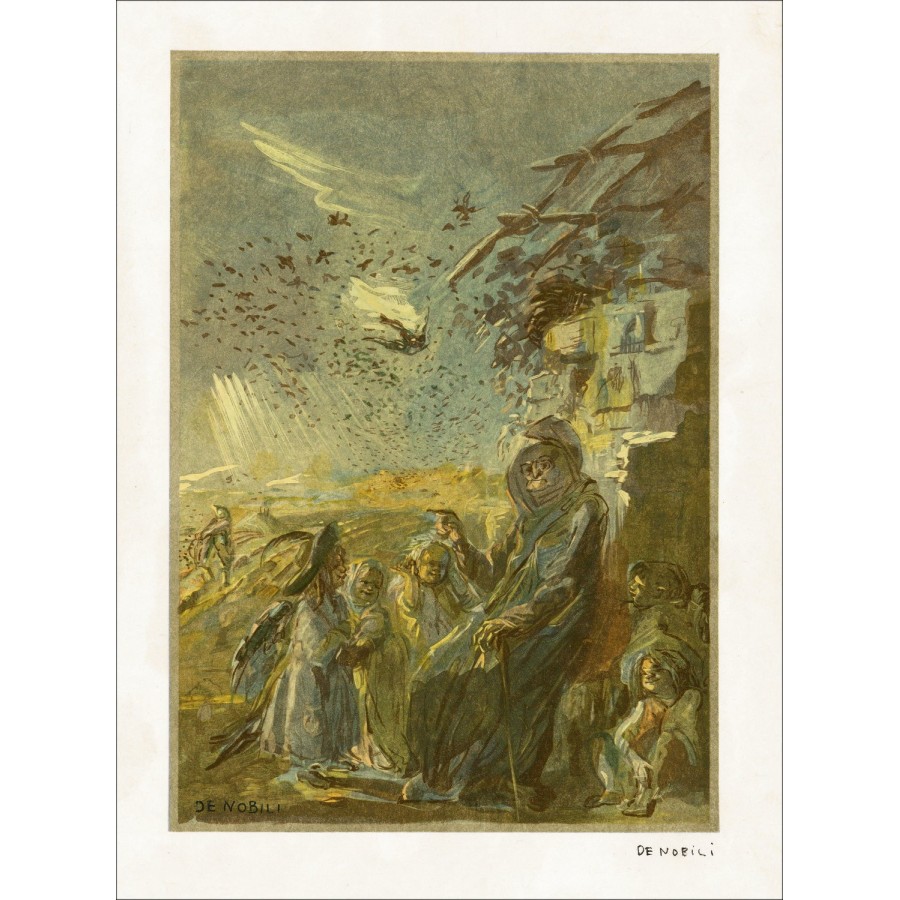 LILA DE NOBILI - Litografía original "Tragar y Pequeñas aves" 38x28cm - 1961