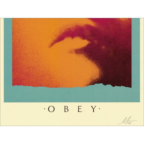 Shadowplay Seilkscreen di Obey Shepard Fairey
