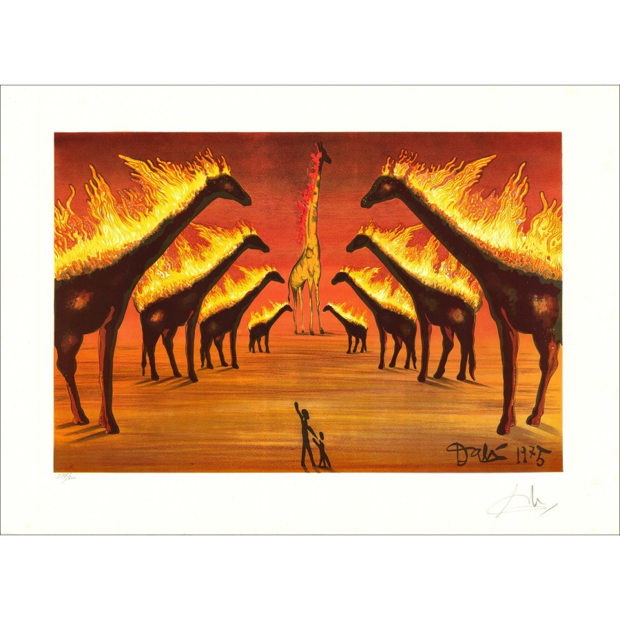 Salvador Dali (dopo) - Litografia "Giraffe in fiamme" 55x76cm