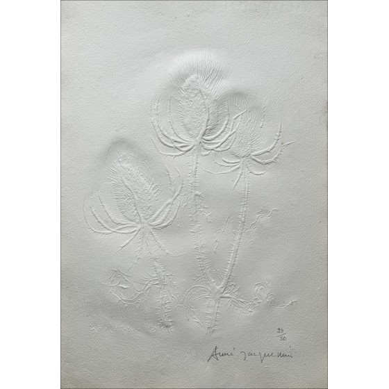 André Jacquemin - Impronta originale "Lords Lords" 50x34cm - 1979
