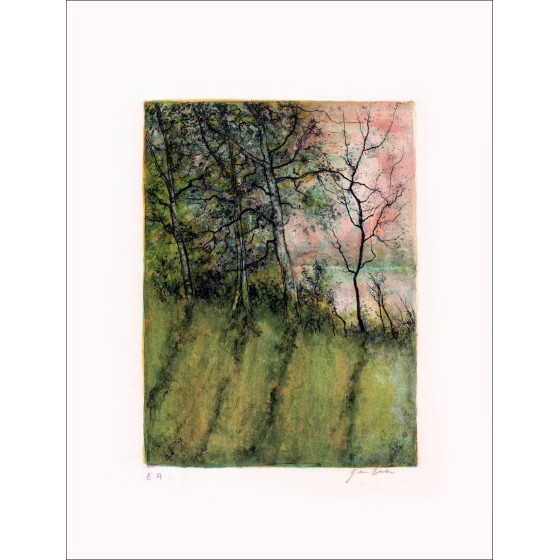 Buy Bernard GANTNER Riverbank Original Lithograph