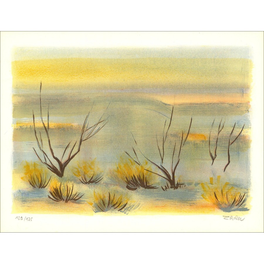 ZAROU : Landscape of Camargue 02, original lithograph signed