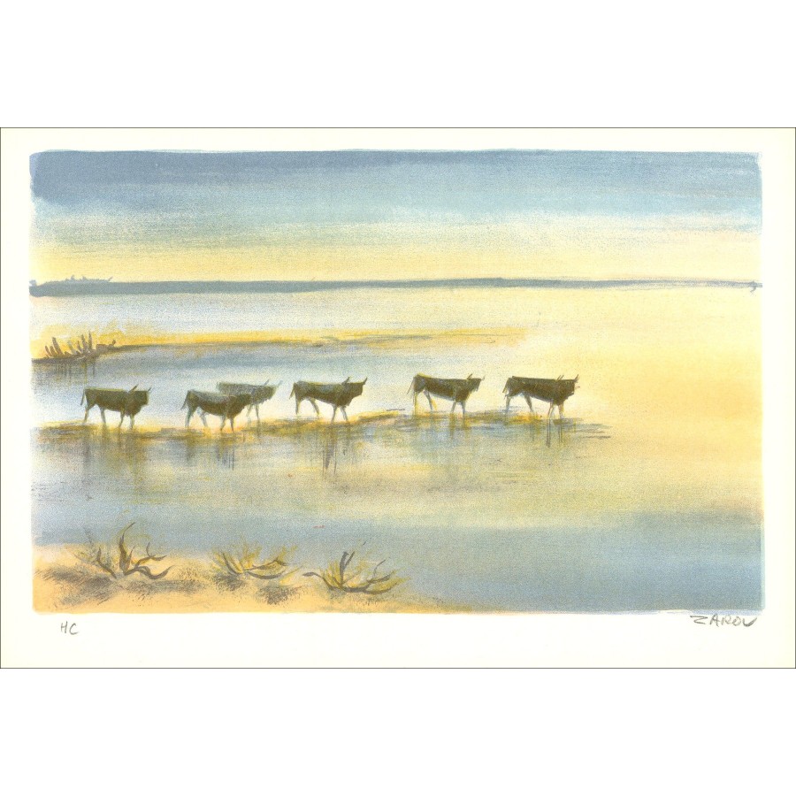 Zarou - Landschap van Camargue 04