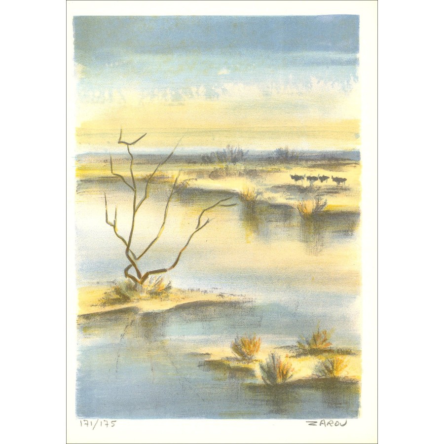 Zarou - Camargue paisaje 03 | Galería 125