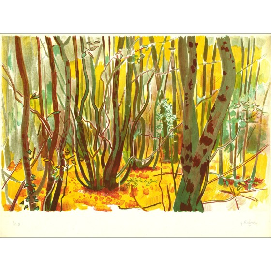 Georges Rohner - El bosque