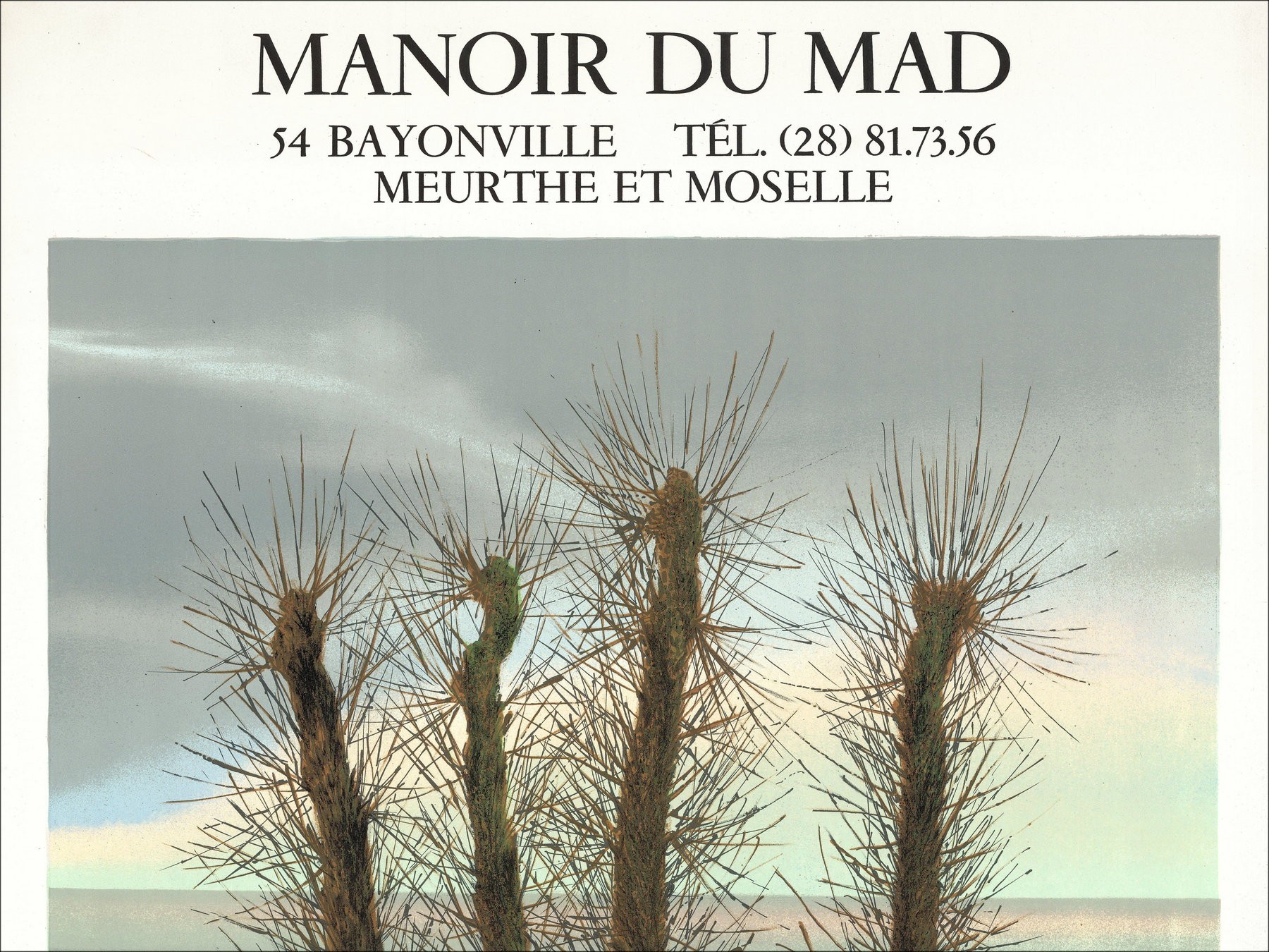 Pierre Nolot - Tentoonstelling, Manoir du Mad 1974 | Galerij 125