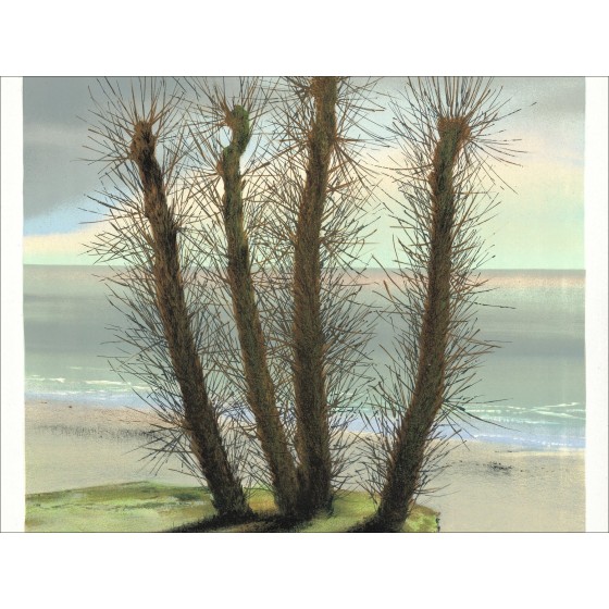 Pierre Nolot - Tentoonstelling, Manoir du Mad 1974 | Galerij 125