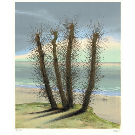 Pierre Nolot - Árboles junto al mar 1974