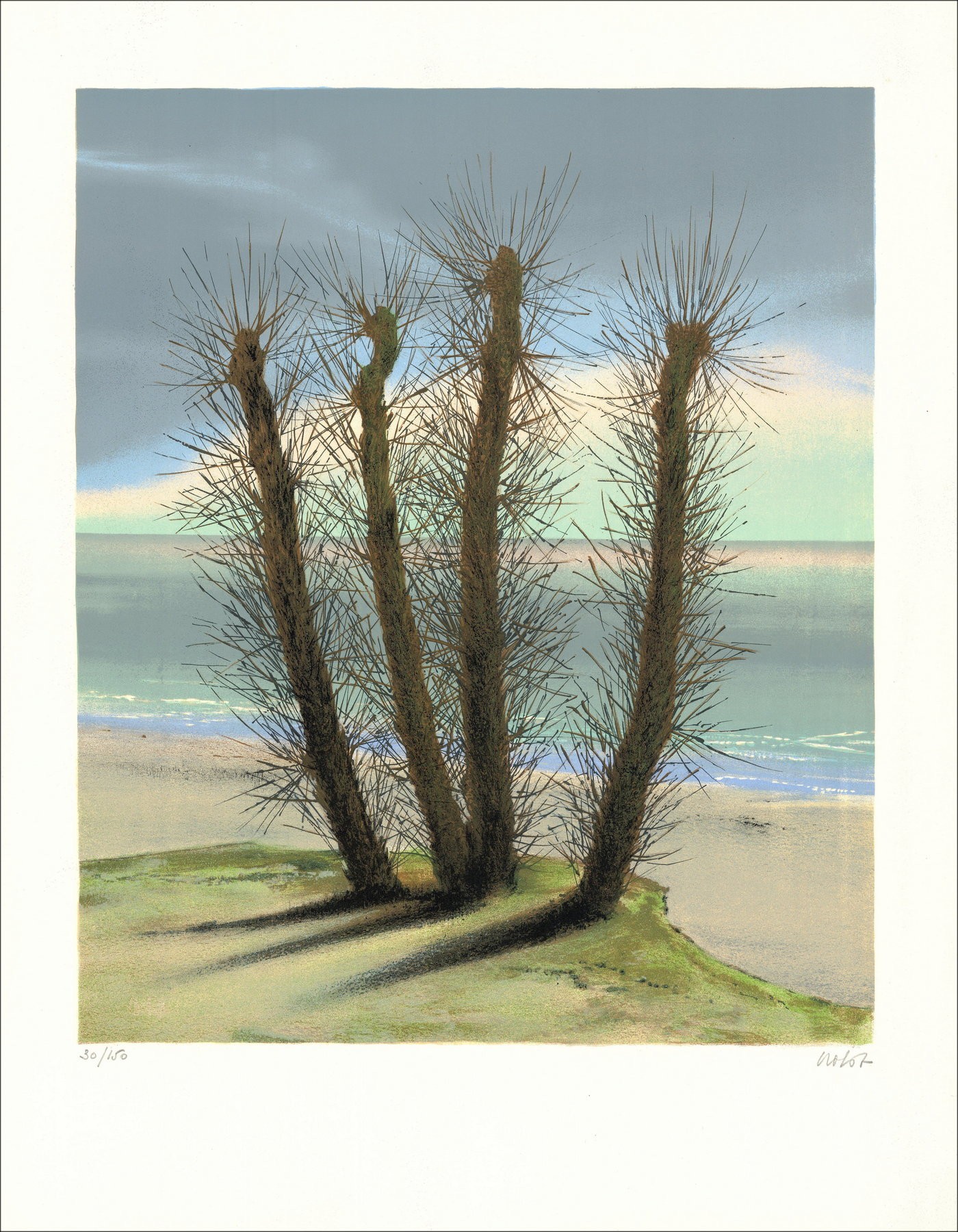 Pierre Nolot - Árboles junto al mar 1974