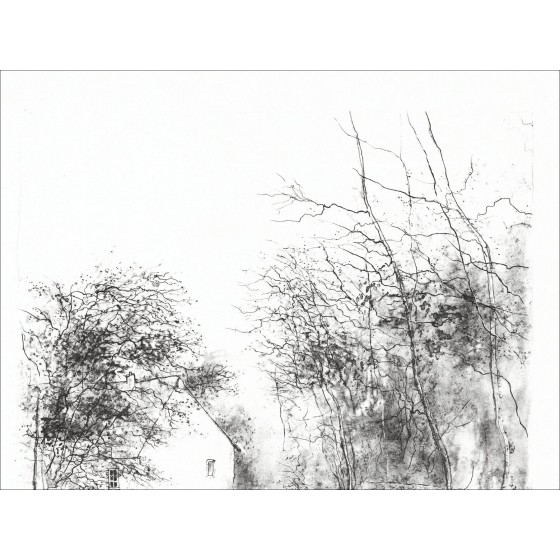 Bernard Gantner - der Teich, unterzeichnete Lithographie