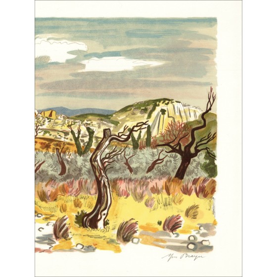 Yves Brayer - Olivenfeld (1973), Lithographie