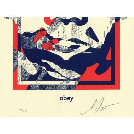 Shepard Fairey - Torn Icon 2025