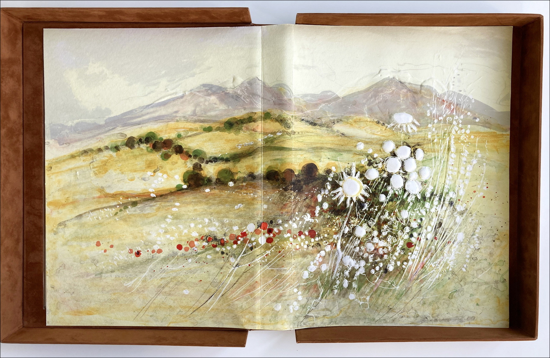 Michel Joyenne & Giono - Provenza, Libro illustrato 1991