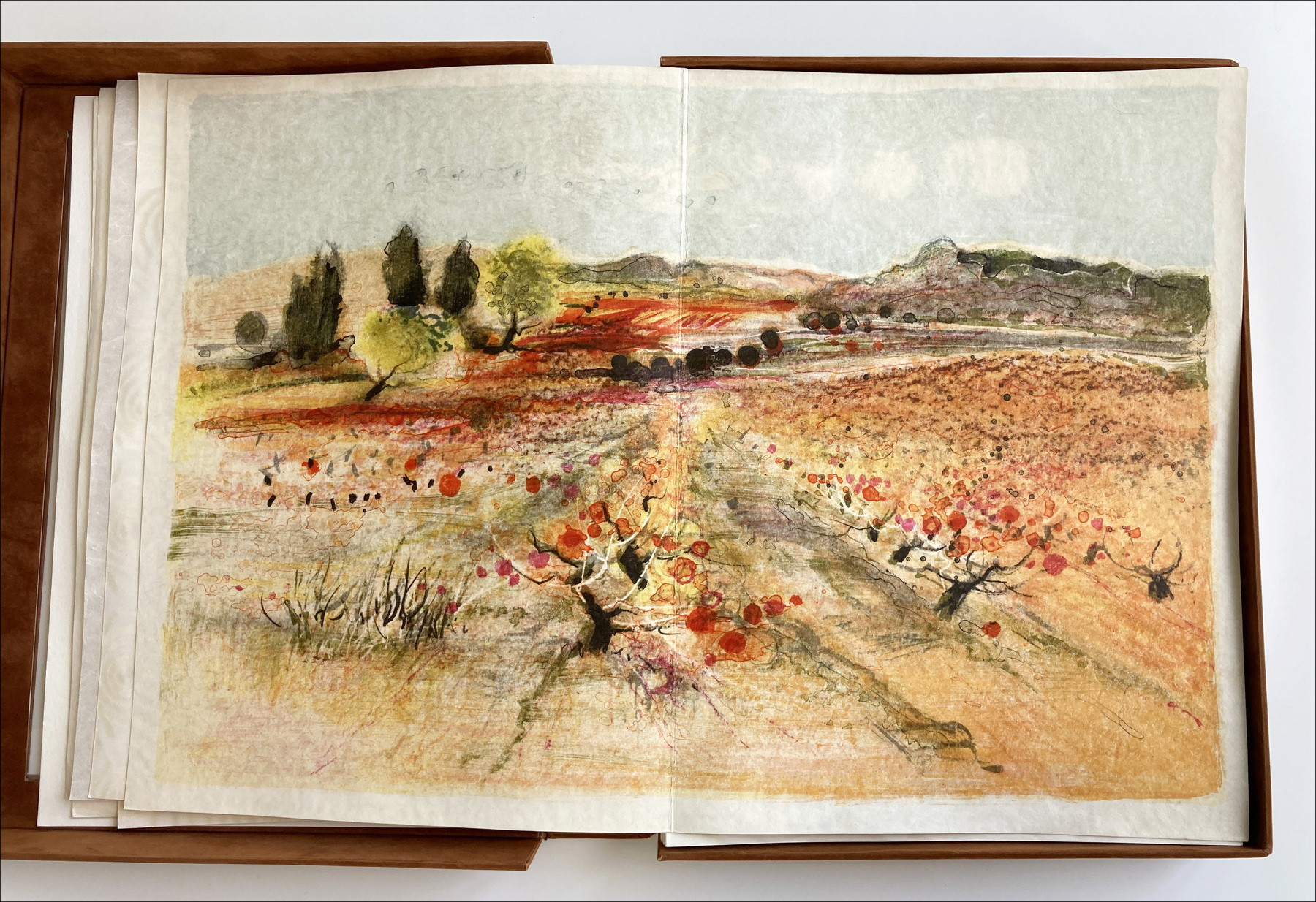 Michel Joyenne & Giono - Provence, illustriertes Buch 1991