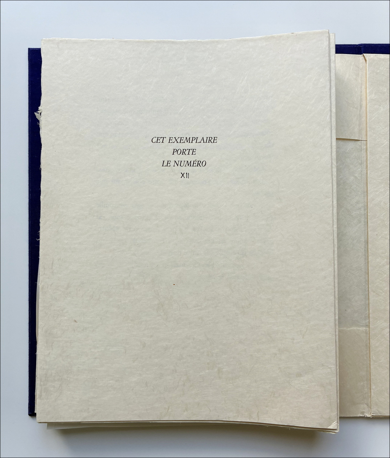 Daniel Sciora – La Symphonie Pastorale, livre illustré 1974