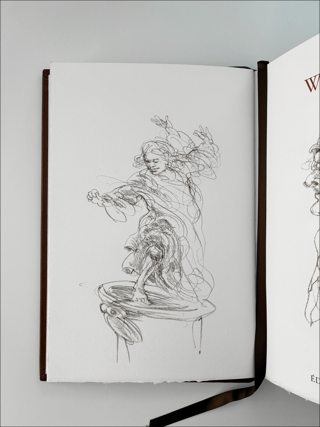 Claude Weisbuch - Lode del motivo, il libro illustrato del 2009