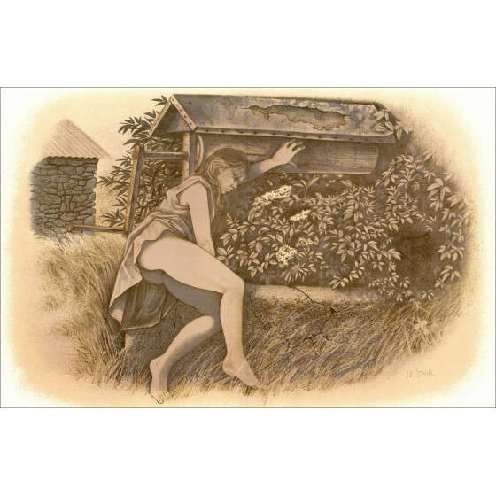 Jean-Pierre StHoll - La Douvivre, Portfolio illustrato 1978