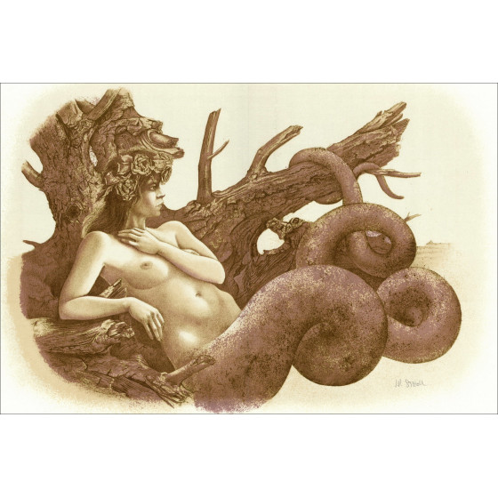 Jean-Pierre StHoll - La Douvivre, Portfolio illustrato 1978