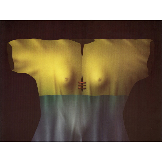 Paul Wunderlich – Poster Hermaphroditenhemd