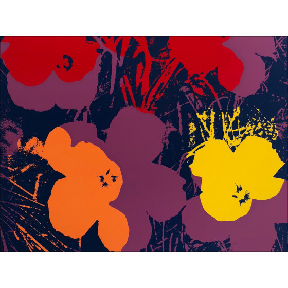 Andy Warhol - Sunday Flower 66, Silkscreen