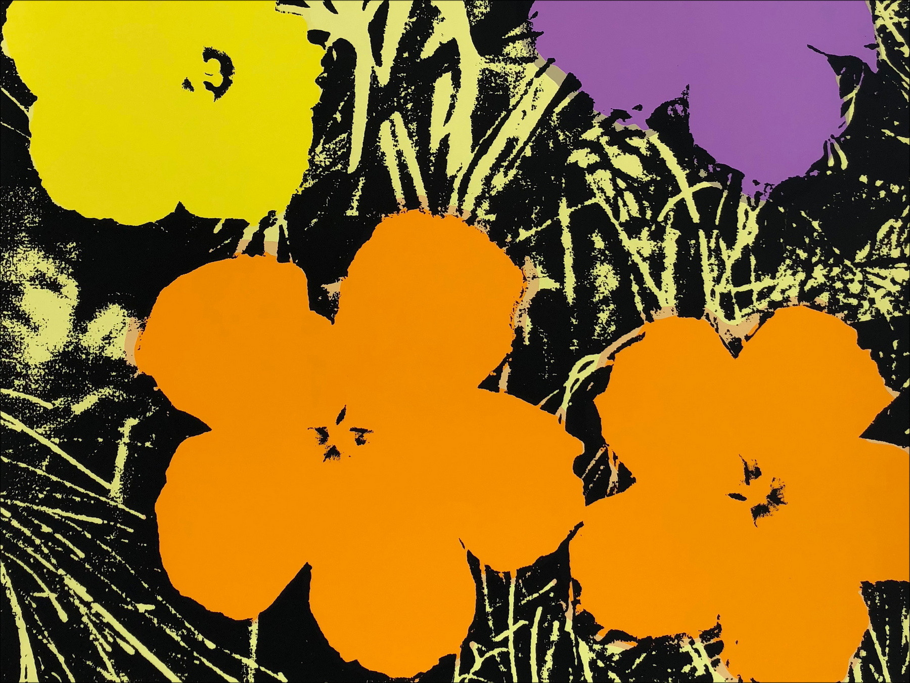 Andy Warhol - Flower Domenicale 67, serigrafia