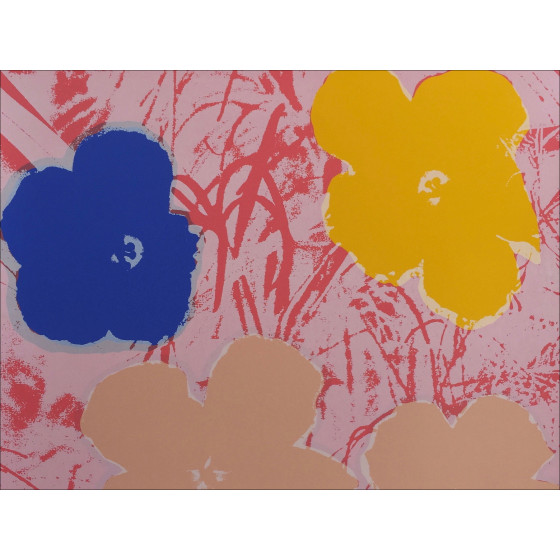 Andy Warhol - Silkscreen - Sunday Flower 70