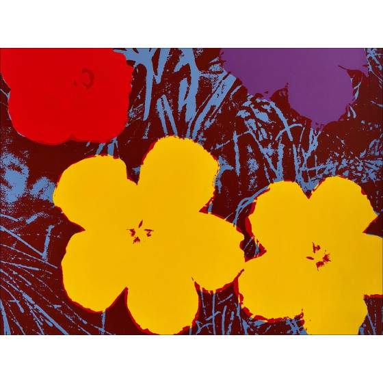 Andy Warhol - Silkscreen - Flor del domingo 71