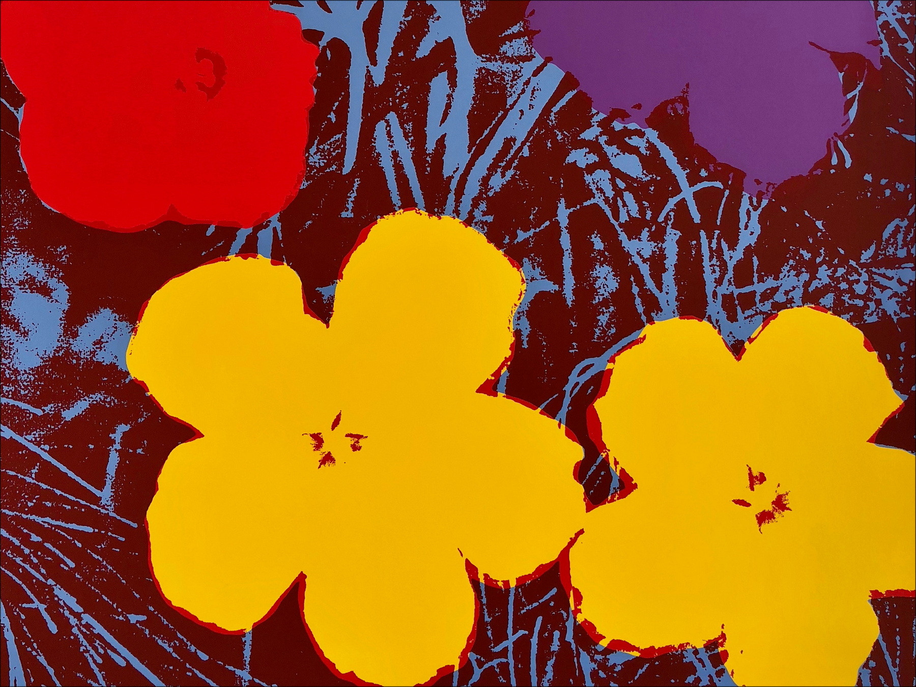 Andy Warhol - serigrafia - Domenica Flower 71