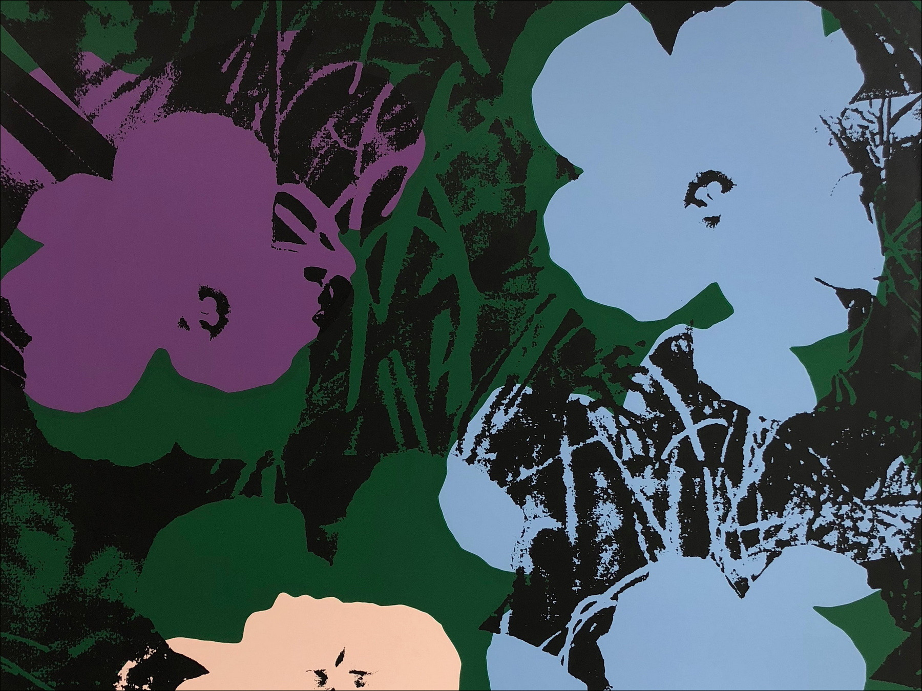 Andy Warhol - Flor del domingo 65, serigrafía