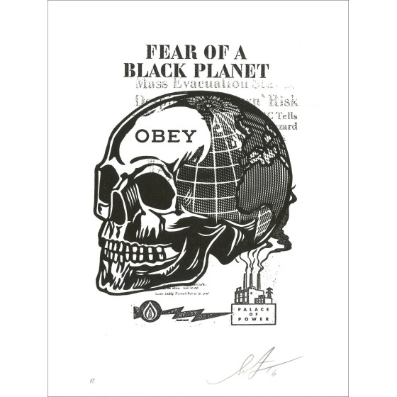 Shepard Fairey – Skull of a Black Planet 2016 | Siebdruck